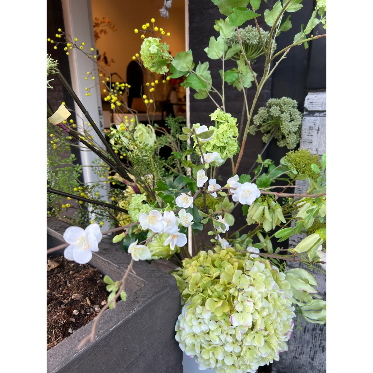 Chaenomeles Zweig 142 cm weiß