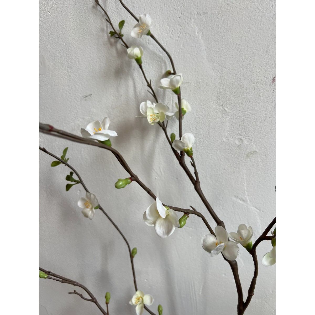 Chaenomeles Zweig 142 cm weiß