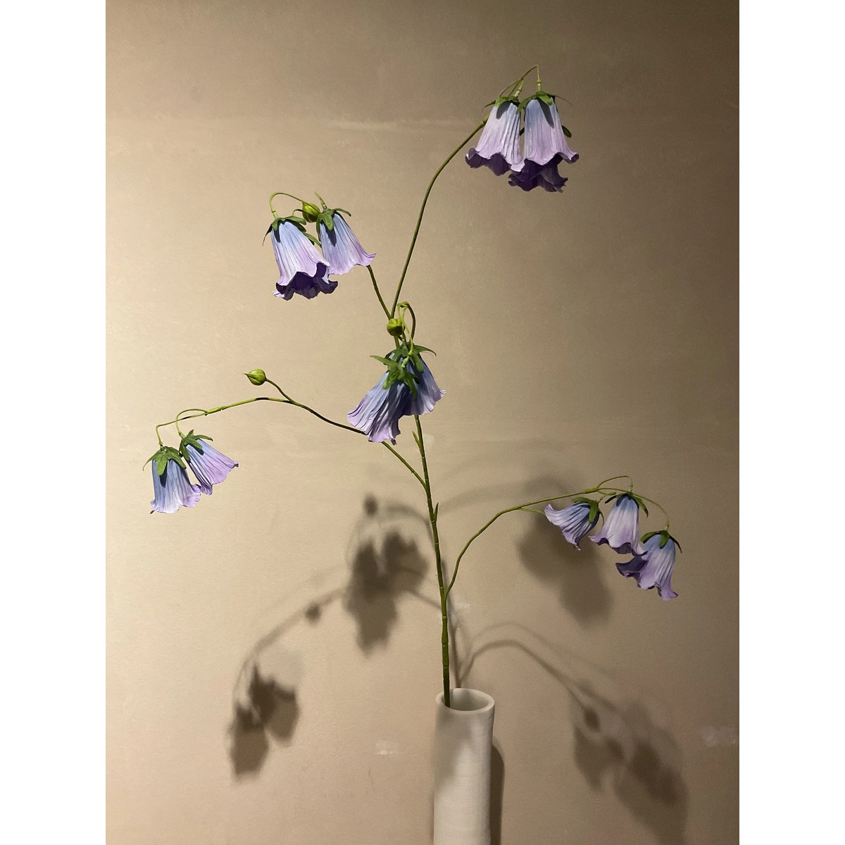 Cobea Zweig 110 cm lavendel/blau