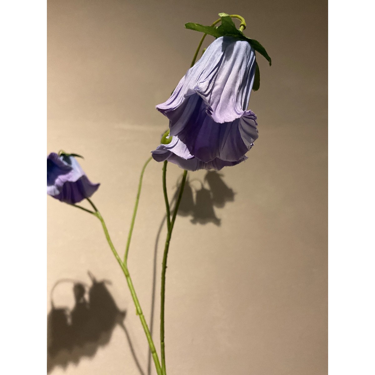 Cobea Zweig 110 cm lavendel/blau