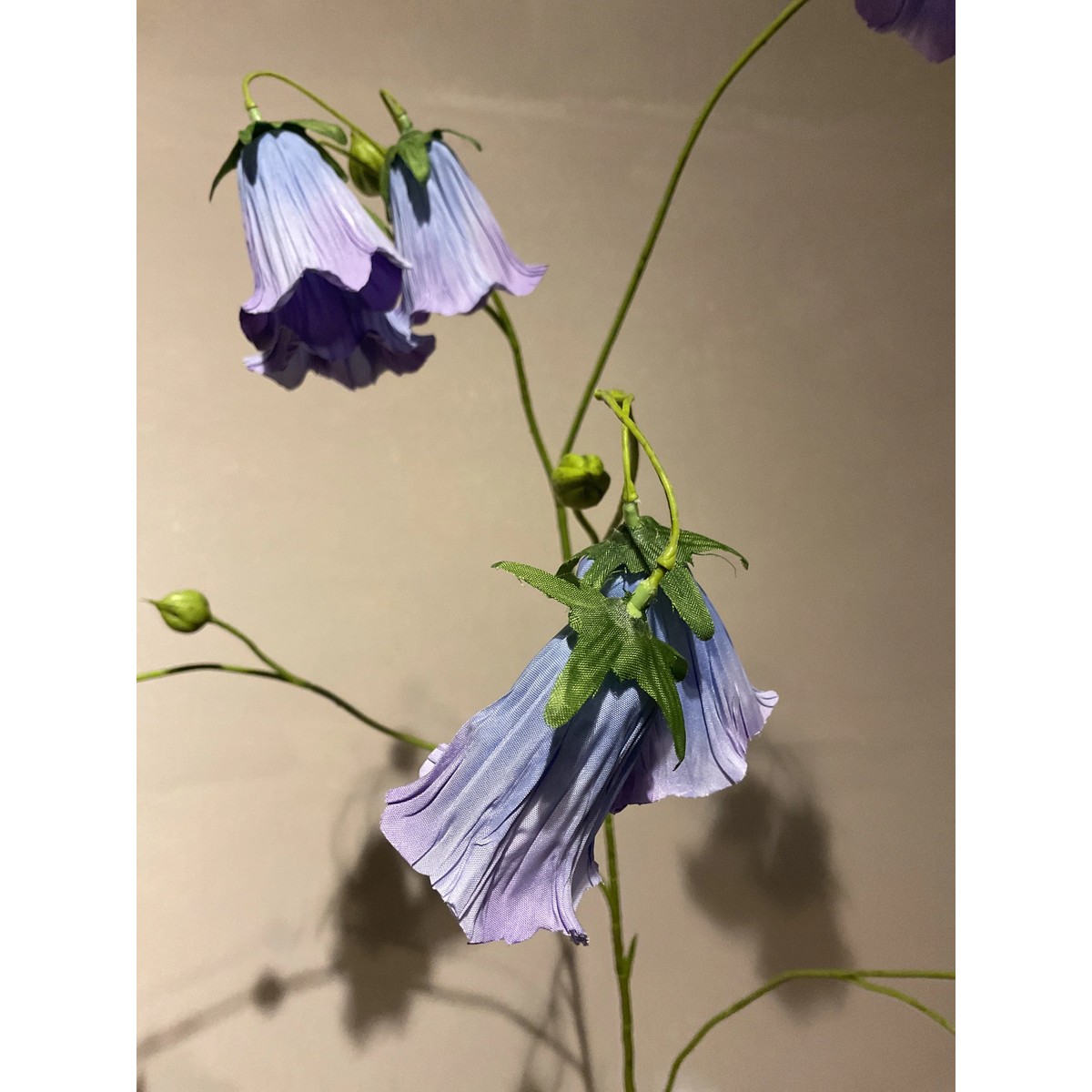 Cobea Zweig 110 cm lavendel/blau