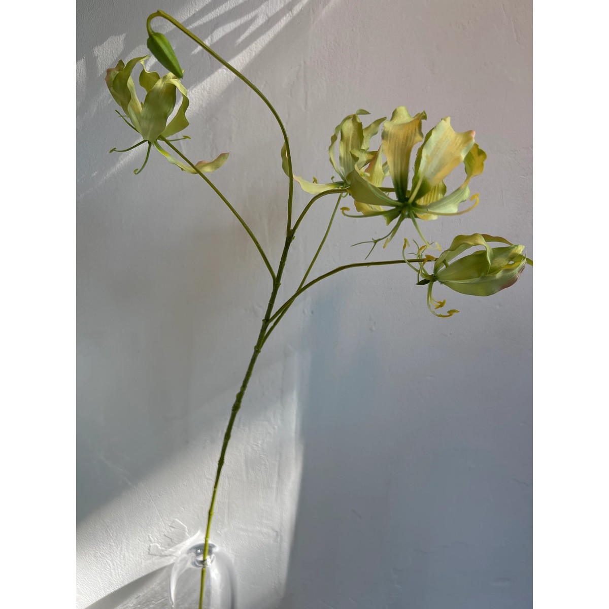 Gloriosa Zweig grün 89 cm