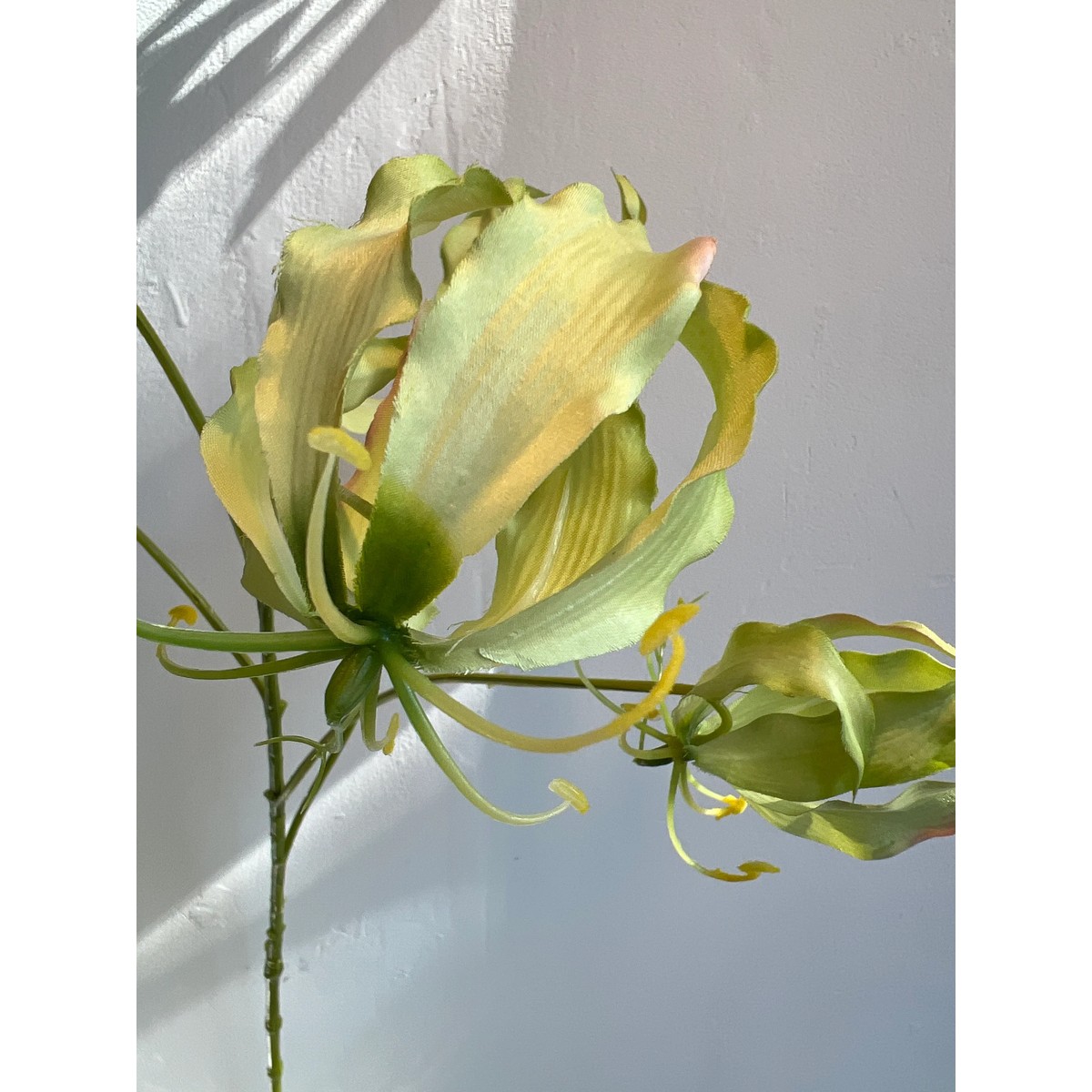 Gloriosa Zweig grün 89 cm