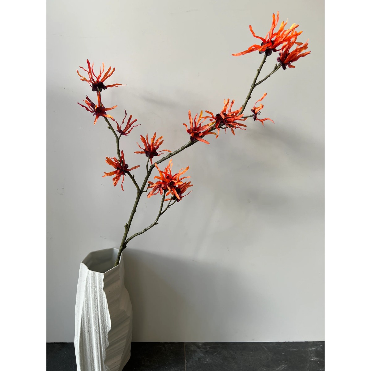 Hamamelis orange 98 cm