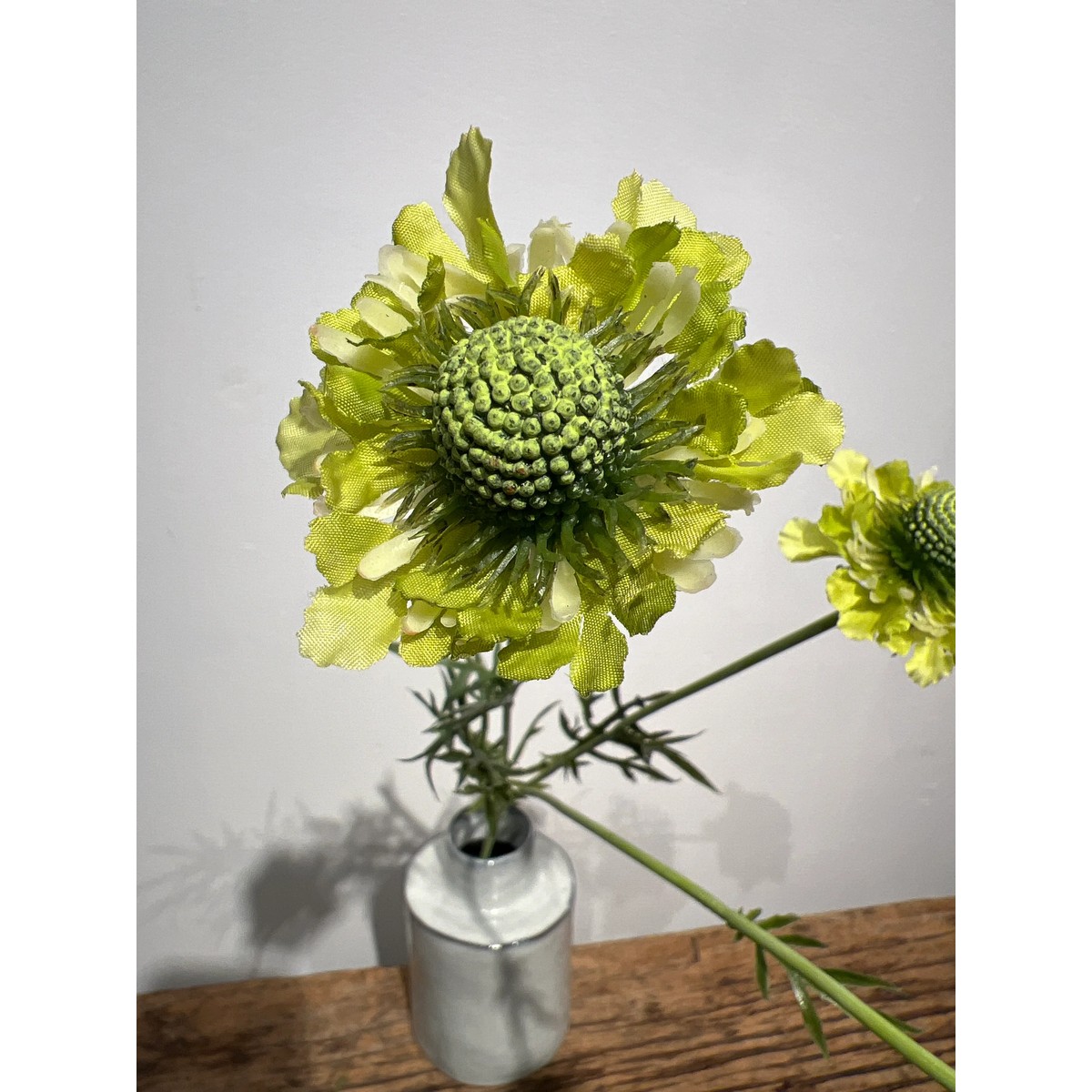 Scabiosa Zweig grün 64 cm